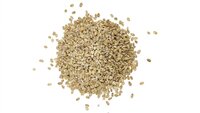 Organic Barley / Jav - Color: Yellow