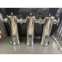 Duplex Basket Filter - Stainless Steel, Various Sizes, Silver Color - Efficient Liquid Filtration For Industrial Applications