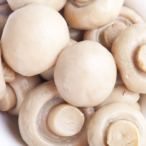 White Best Quality Button Mushroom