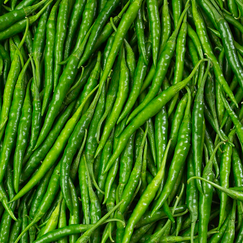 Green Chilli Preserving Compound: As Per Industry Norms