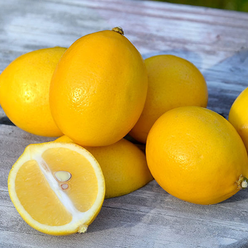 Fresh Lemon Preserving Compound: As Per Industry Norms