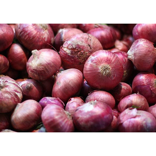 Organic Onion Preserving Compound: As Per Industry Norms