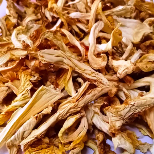 Dried Oyster Mushroom - Food Grade, Organic, Versatile Umami Flavor, Custom Weight Options | Ideal for Soups, Stir-Fries, and Sauces