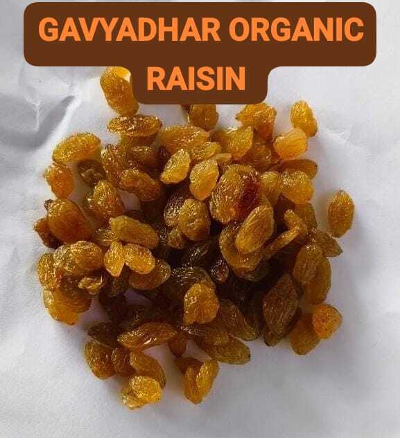 Organic Raisin (kismis)