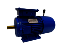 Crane Duty Motor