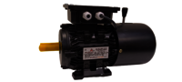 Crane Duty Motor