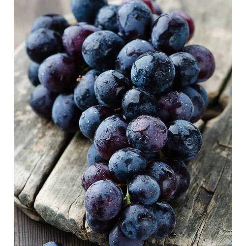 Frozen Black Grapes