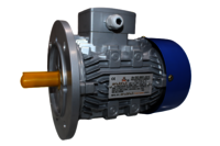Three Phase Motor