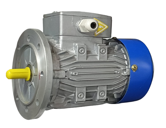 Three Phase Motor
