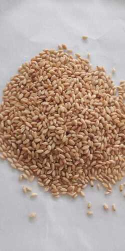 Organice Wheat whole