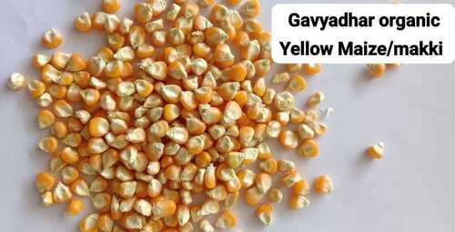 organice Yellow Maize