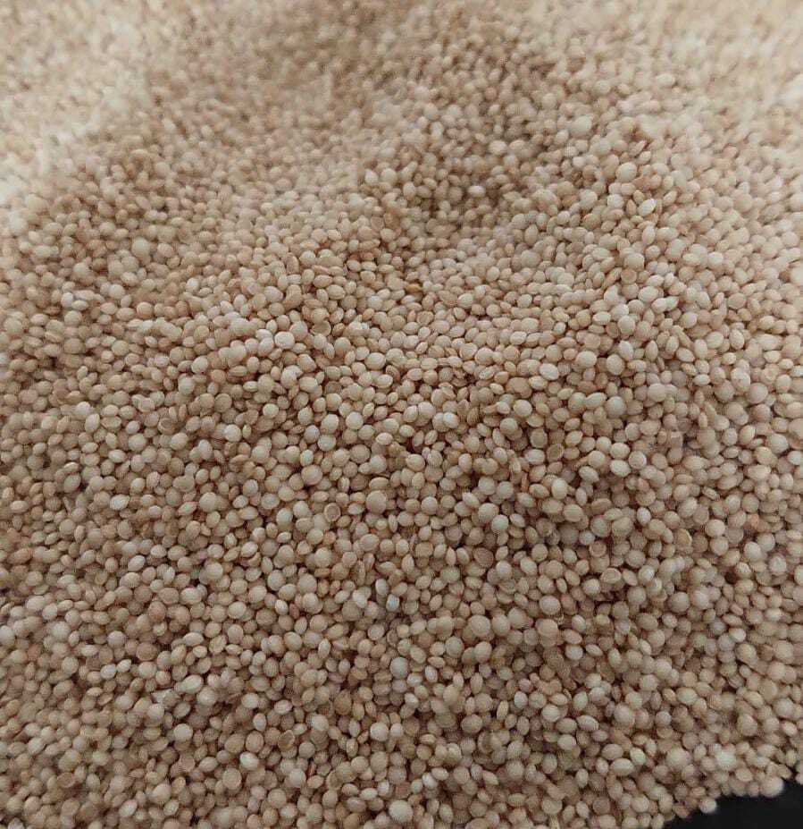 organic  Jawar/Sorghum whole