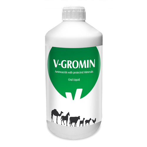 V-Gromin Aminoacids With Protected Minerals Oral Liquid