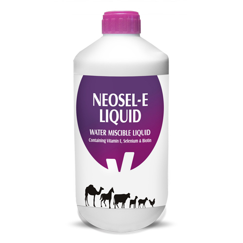 Neosel-E Oral Liquid