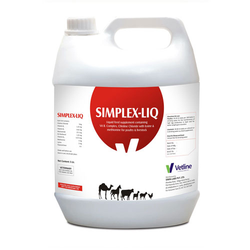 Simplex Vitamin B-Complex Oral Liquid