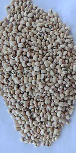 organic Cowpea/chawla