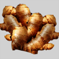 Organic Fresh Ginger Shelf Life: 7-15 Days