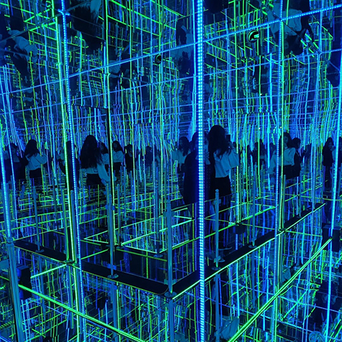 Mirror Maze - Passenger Capacity: 4-5