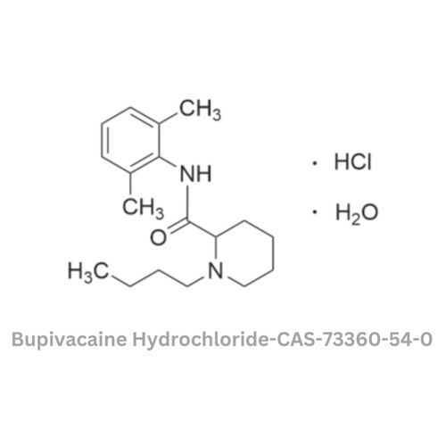 Bupivacaine Hydrochloride