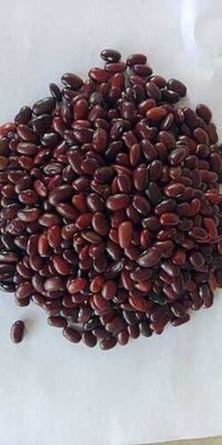 Organic Rajma jammu/Kidney Beans