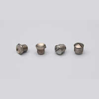 Grub Screws - Color: Silver