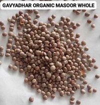 Organic Masoor Malka (kali Masoor) - Color: Brown