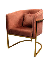Adhunika Lounge Chair with Golden Frame-Pink