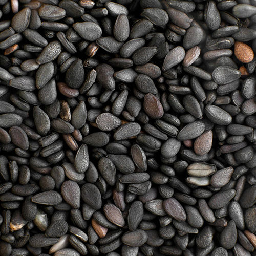 Normal Black Sesame Seeds