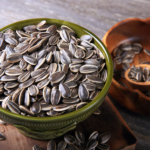 Normal Sunflower Seeds