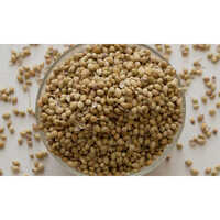 Coriander Whole