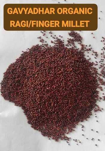 Organic Ragi/Finger Millet