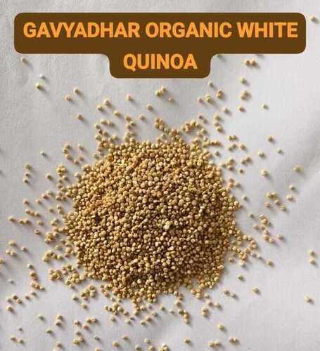 Organic White Quinoa Seeds(processed)