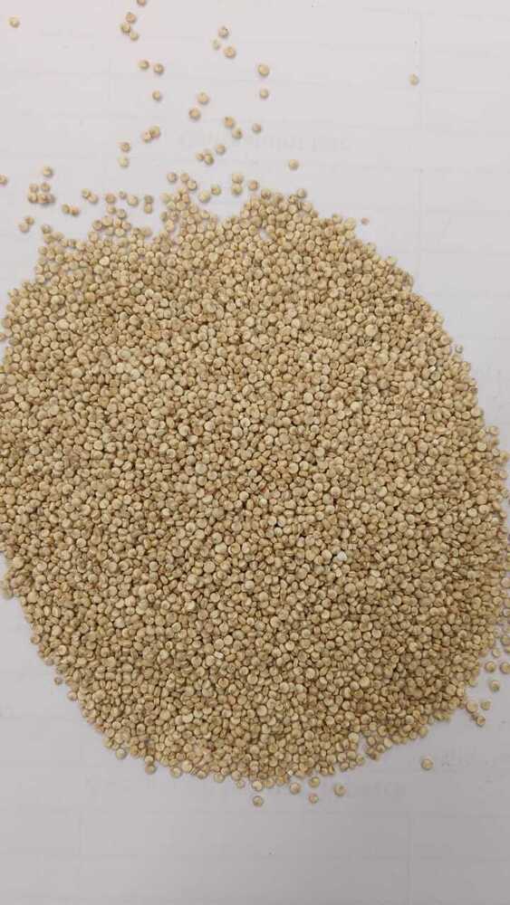 Organic White Quinoa Seeds(Processed) - Color: Brown