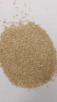 Organic White Quinoa Seeds(processed) - Color: Brown