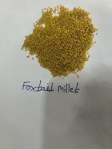 Organic Foxtail Millet