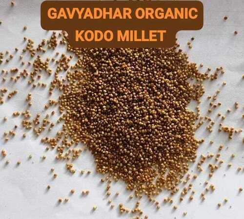 Organic Kodo Millet