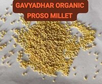 Organic Proso Millet