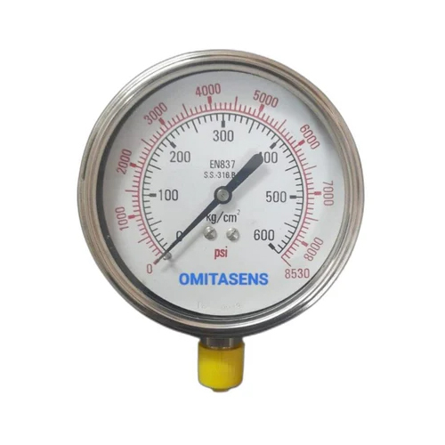 Stainless Steel Pressure Gauge