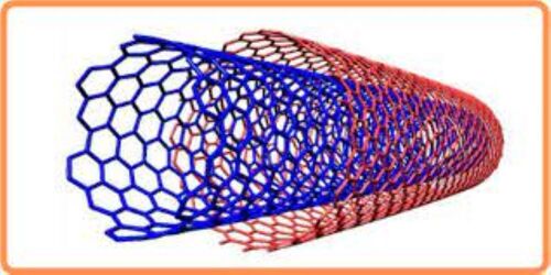 Double-Walled Carbon Nanotubes (CD BIO)