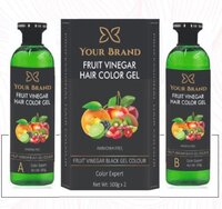 FRUIT VINEGAR HAIR GEL COLOR