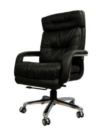 Adhunika High Back Revolving Boss Office Chair With Double Comfort Seat (26x23x49)