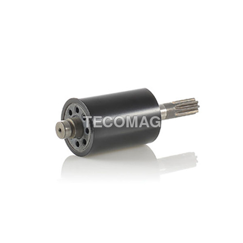 Magnetic Accembly Magnet Rotor With Shaft