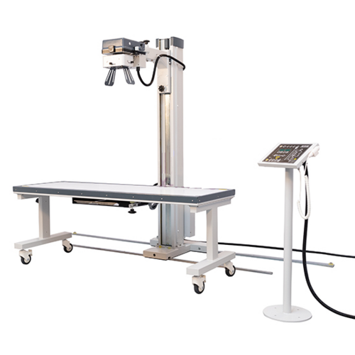 Alerio Maestro 8000 -  HF Fixed X-Ray Machine