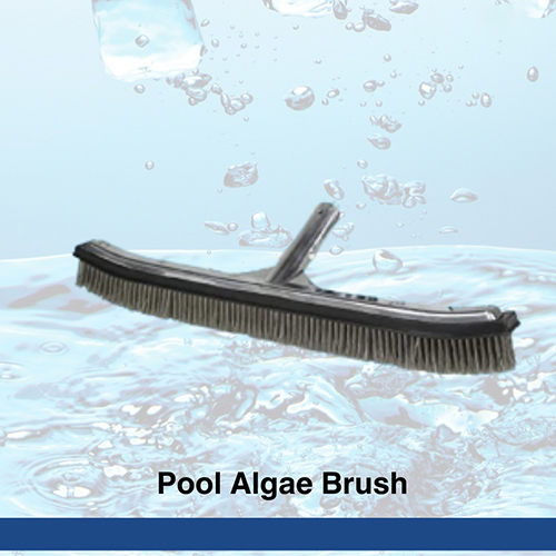 Pool Algae Brush