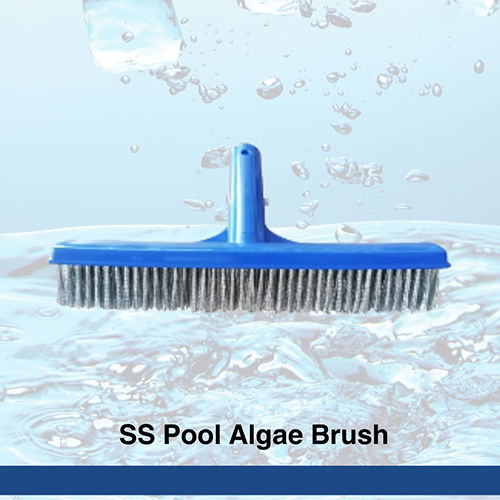 SS Pool Algae Brush