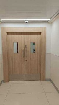 Carved Fully Insulated 2 Hour Fire Rated Door - Coating Type: Fire-retardant Epoxy Coating