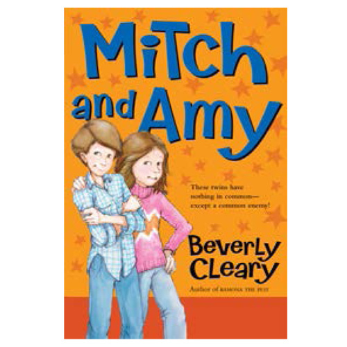 Mitch And Amy Book