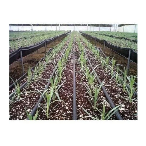 Drip Irrigation System Application: Farming