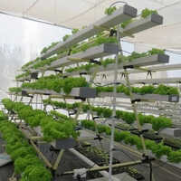 Automatic Hydroponics Systems - Durable Aluminium Frame, Stable Pvc Base, Integrated Led Growth Panels | Automated Cooling & Monitoring For Soil-free Cultivation