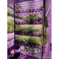 Automatic Hydroponics Systems - Aluminium Frame, Pvc Base, Led Plant Growth Lighting | Automated Cooling, Normal Monitoring, Soil-free Farming